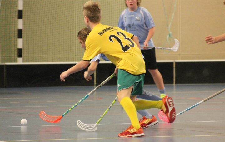 Opdag de bedste Oxdog stave hos Floorballcentret